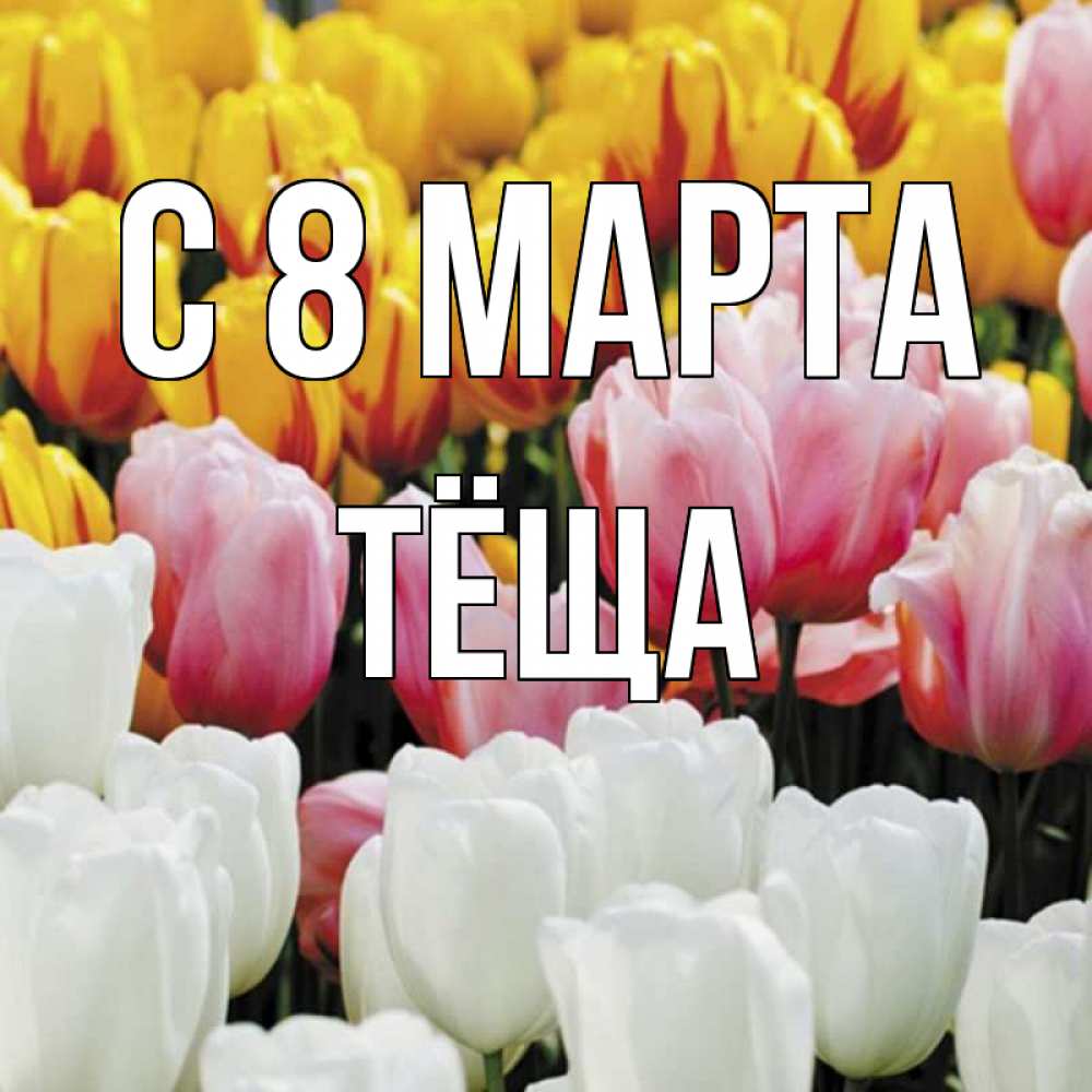 Открытка на каждый день с именем, Тёща С 8 МАРТА разноцветные цветы Прикольная открытка с пожеланием онлайн скачать бесплатно 