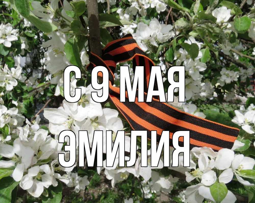 Открытка на каждый день с именем, Эмилия С 9 мая 9 мая Прикольная открытка с пожеланием онлайн скачать бесплатно 