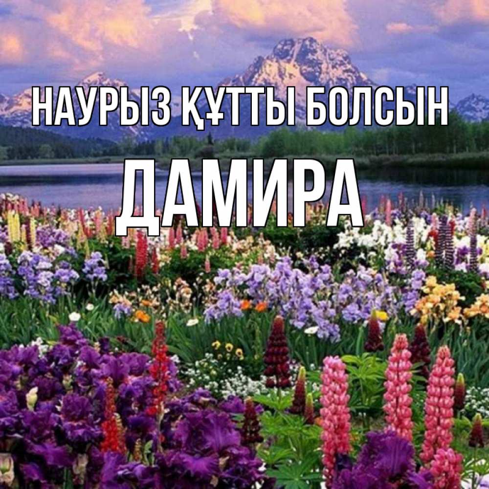 Открытка на каждый день с именем, Дамира Наурыз құтты болсын наурыз Прикольная открытка с пожеланием онлайн скачать бесплатно 