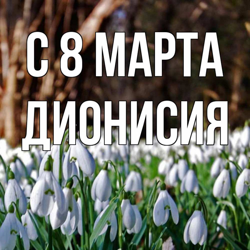 Открытка на каждый день с именем, Дионисия С 8 марта с подснежниками 1 Прикольная открытка с пожеланием онлайн скачать бесплатно 