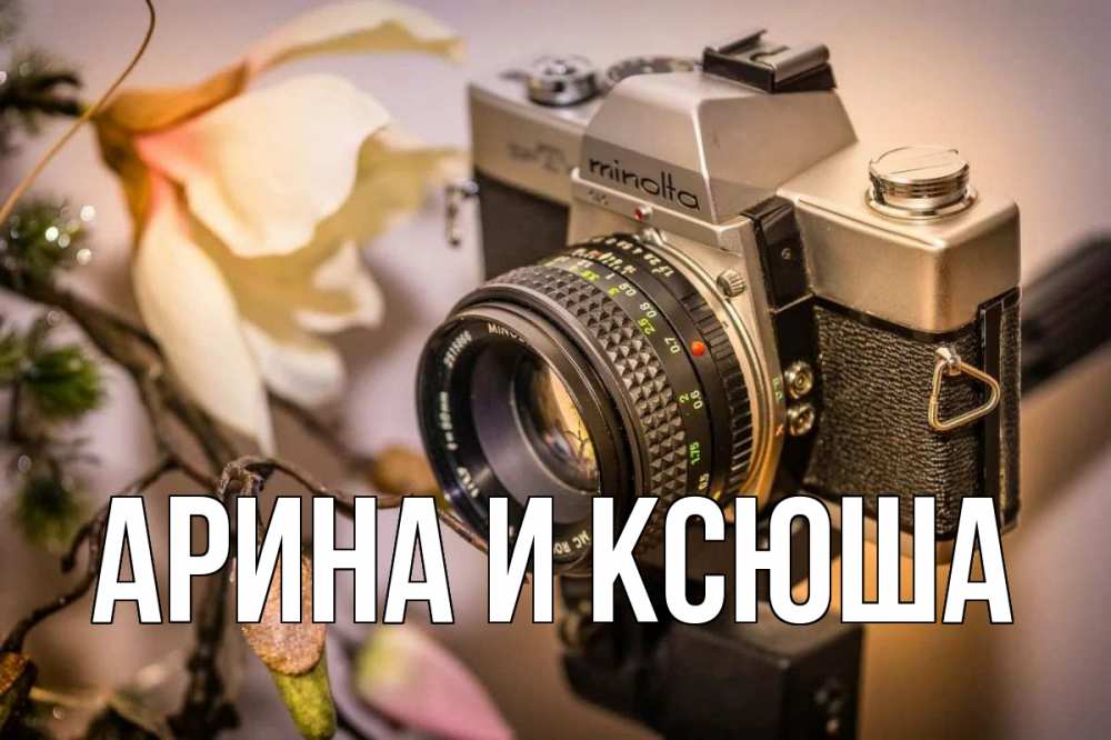 Открытка на каждый день с именем, Арина-и-Ксюша Главная с днем фотографа 1 Прикольная открытка с пожеланием онлайн скачать бесплатно 