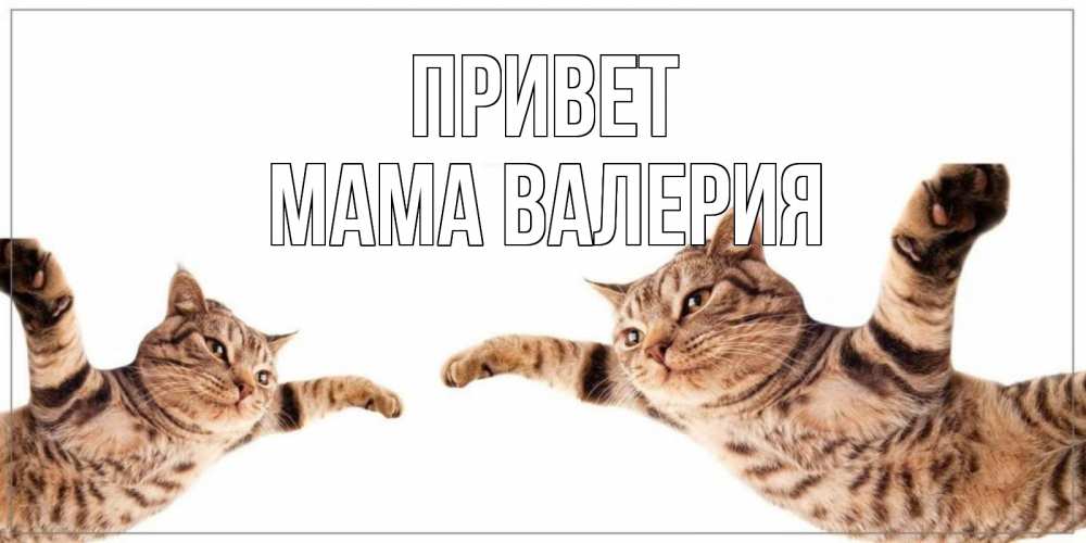 Открытка на каждый день с именем, Мама-Валерия Привет кот Прикольная открытка с пожеланием онлайн скачать бесплатно 