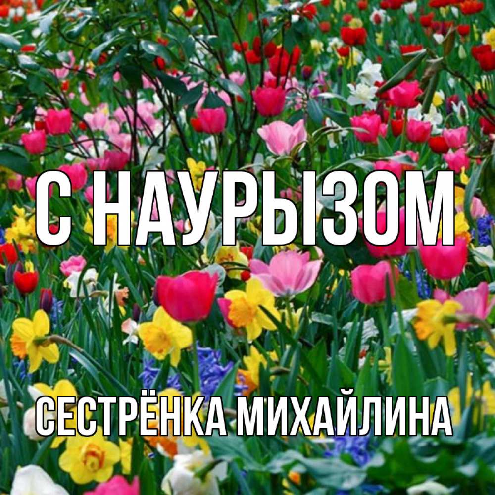 Открытка на каждый день с именем, Сестрёнка-Михайлина С наурызом с наурызом праздником весны поздравления для женщины Прикольная открытка с пожеланием онлайн скачать бесплатно 