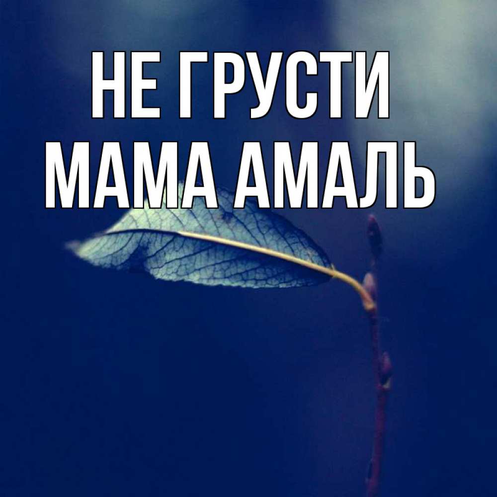 Открытка на каждый день с именем, Мама-Амаль Не грусти растение Прикольная открытка с пожеланием онлайн скачать бесплатно 