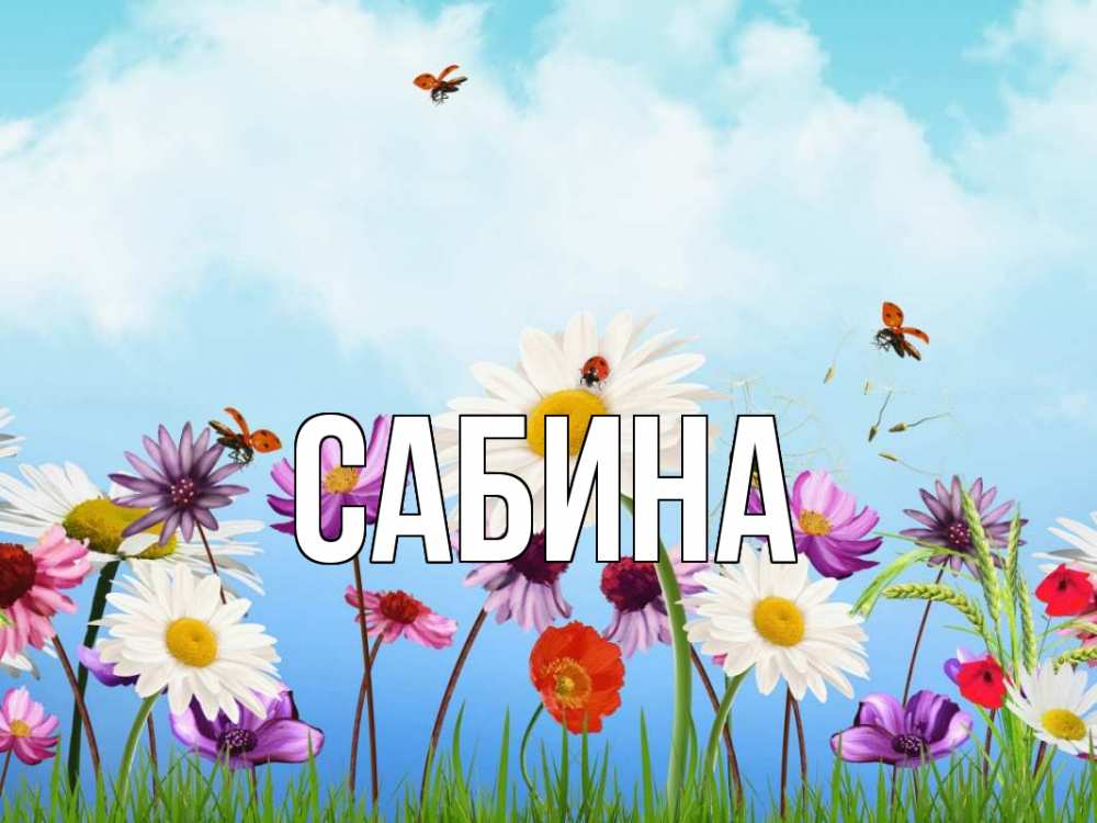 Открытка на каждый день с именем, Сабина Главная С 1 мая Прикольная открытка с пожеланием онлайн скачать бесплатно 