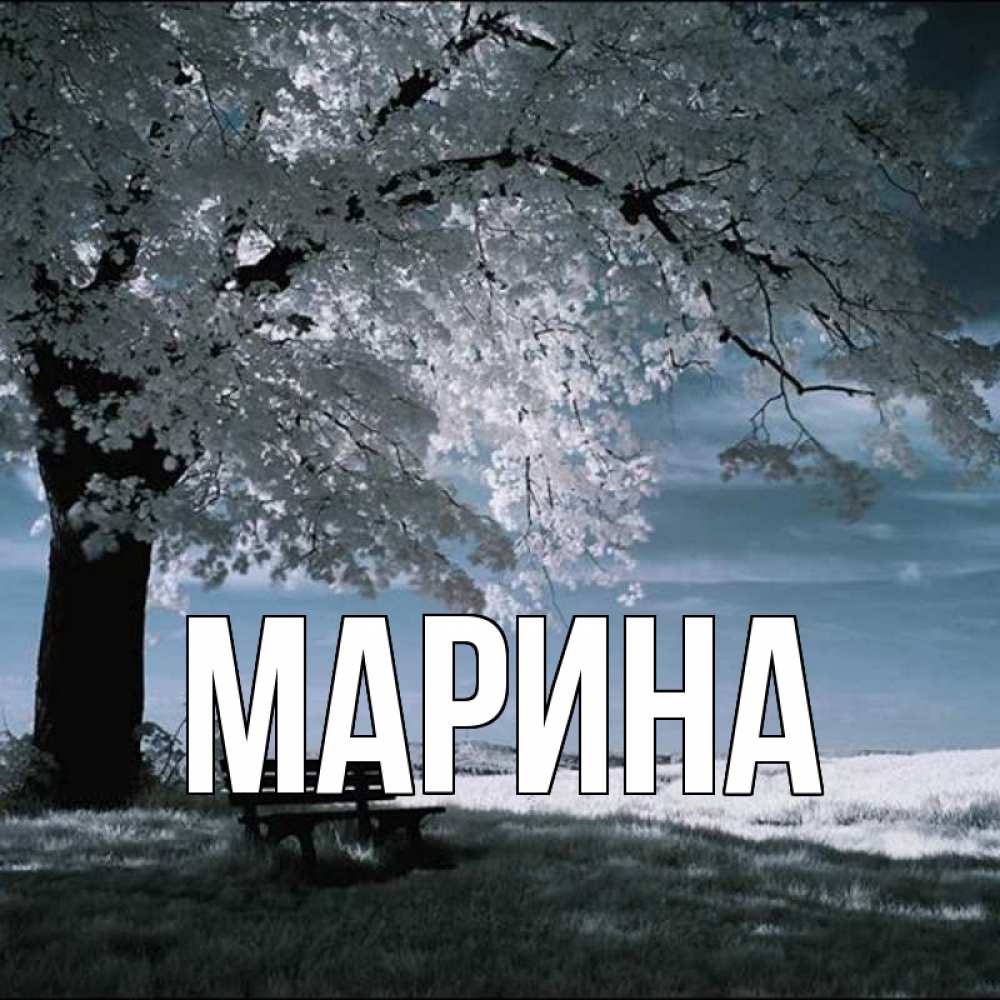 Открытка на каждый день с именем, Марина Главная дерево Прикольная открытка с пожеланием онлайн скачать бесплатно 