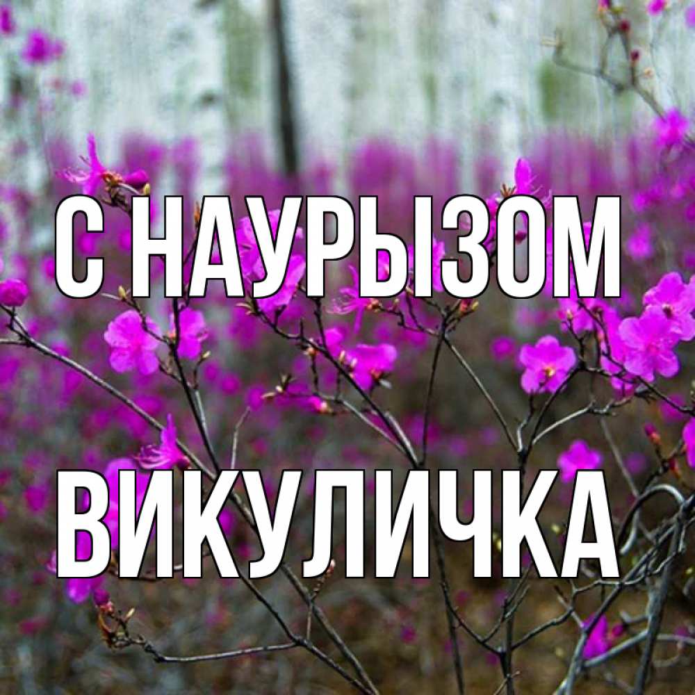 Цветок по имени вероника