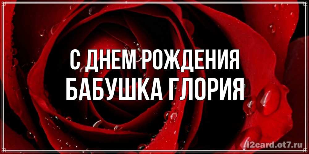 Открытка на каждый день с именем, Бабушка-Глория С днем рождения крупная бордовая роза Прикольная открытка с пожеланием онлайн скачать бесплатно 