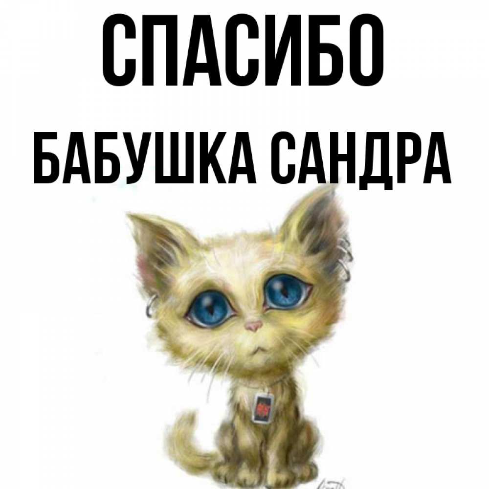 Открытка на каждый день с именем, Бабушка-Сандра Спасибо рисованный кот благодарит вас Прикольная открытка с пожеланием онлайн скачать бесплатно 