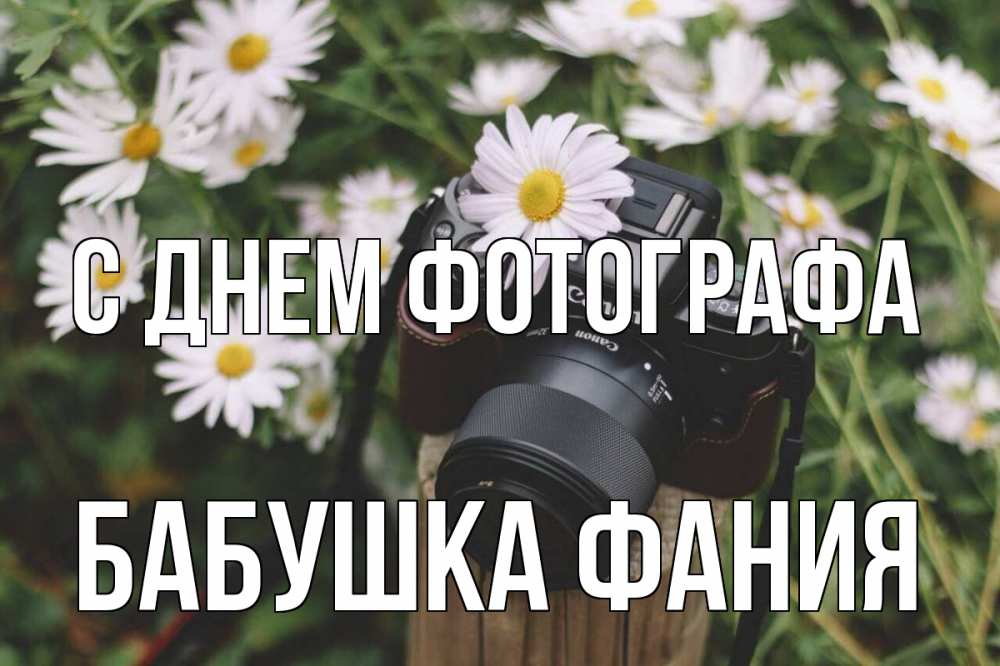 Открытка на каждый день с именем, Бабушка-Фания С днем фотографа с днем фотографа Прикольная открытка с пожеланием онлайн скачать бесплатно 