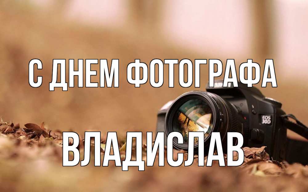 Открытка на каждый день с именем, Владислав С днем фотографа с днем фотографа Прикольная открытка с пожеланием онлайн скачать бесплатно 