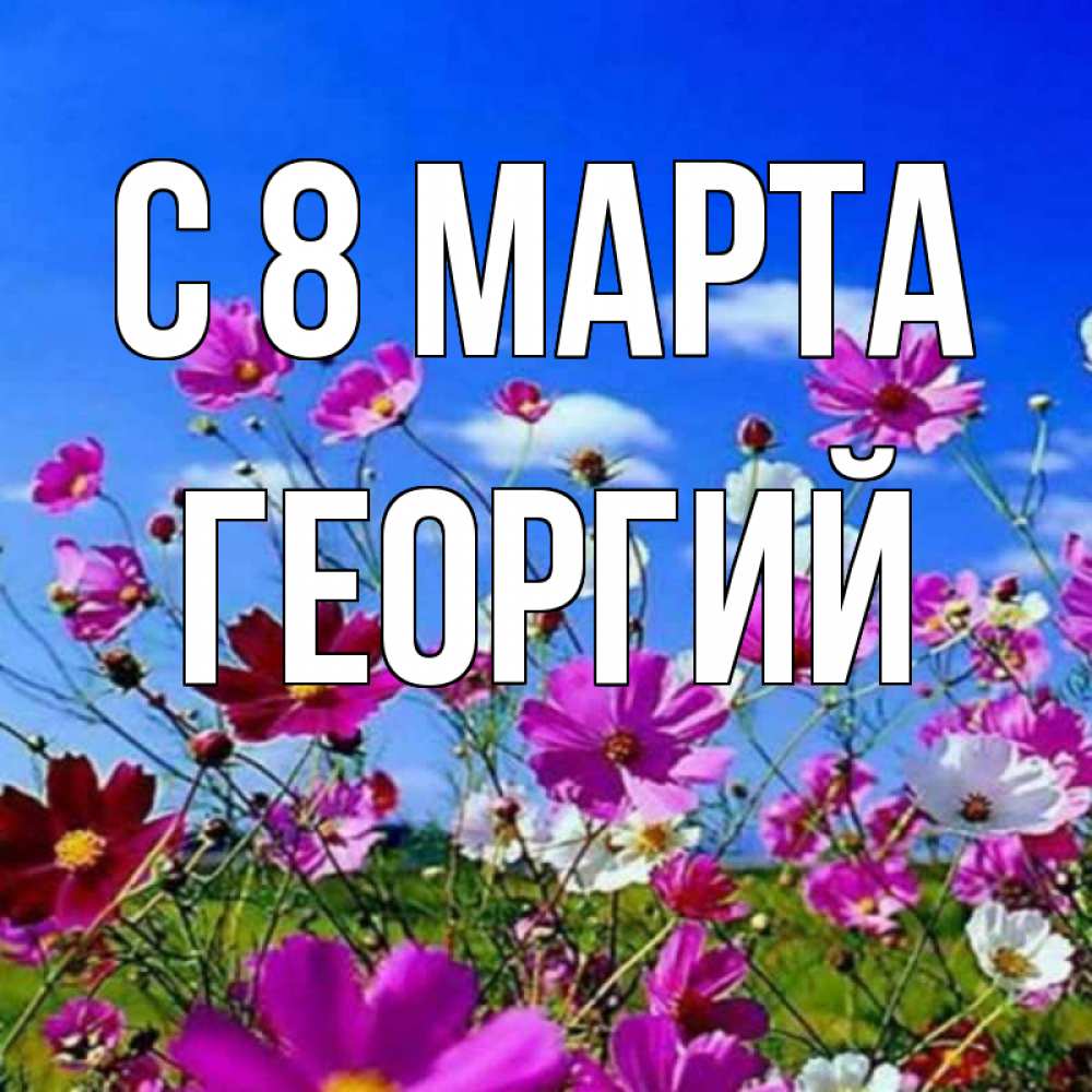 Открытка на каждый день с именем, Георгий С 8 МАРТА цветы Прикольная открытка с пожеланием онлайн скачать бесплатно 