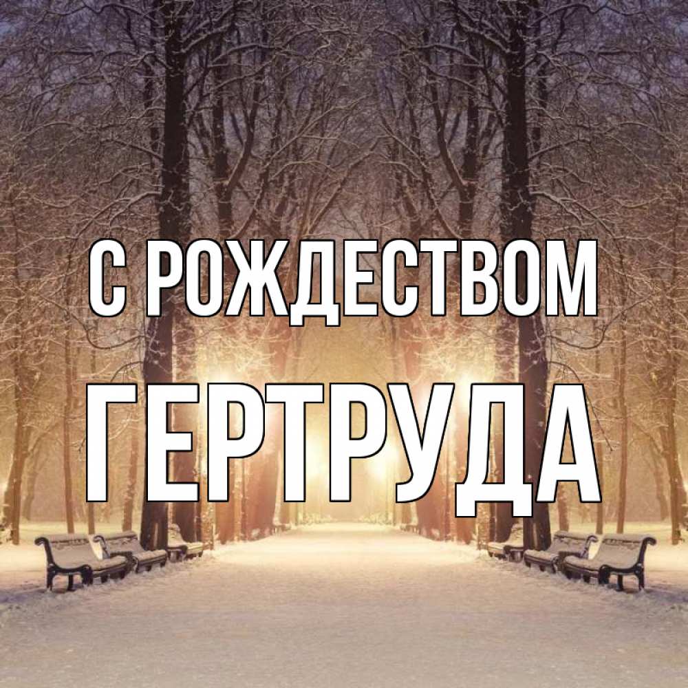 Открытка на каждый день с именем, Гертруда С рождеством зима, парк, фонарь, лес Прикольная открытка с пожеланием онлайн скачать бесплатно 