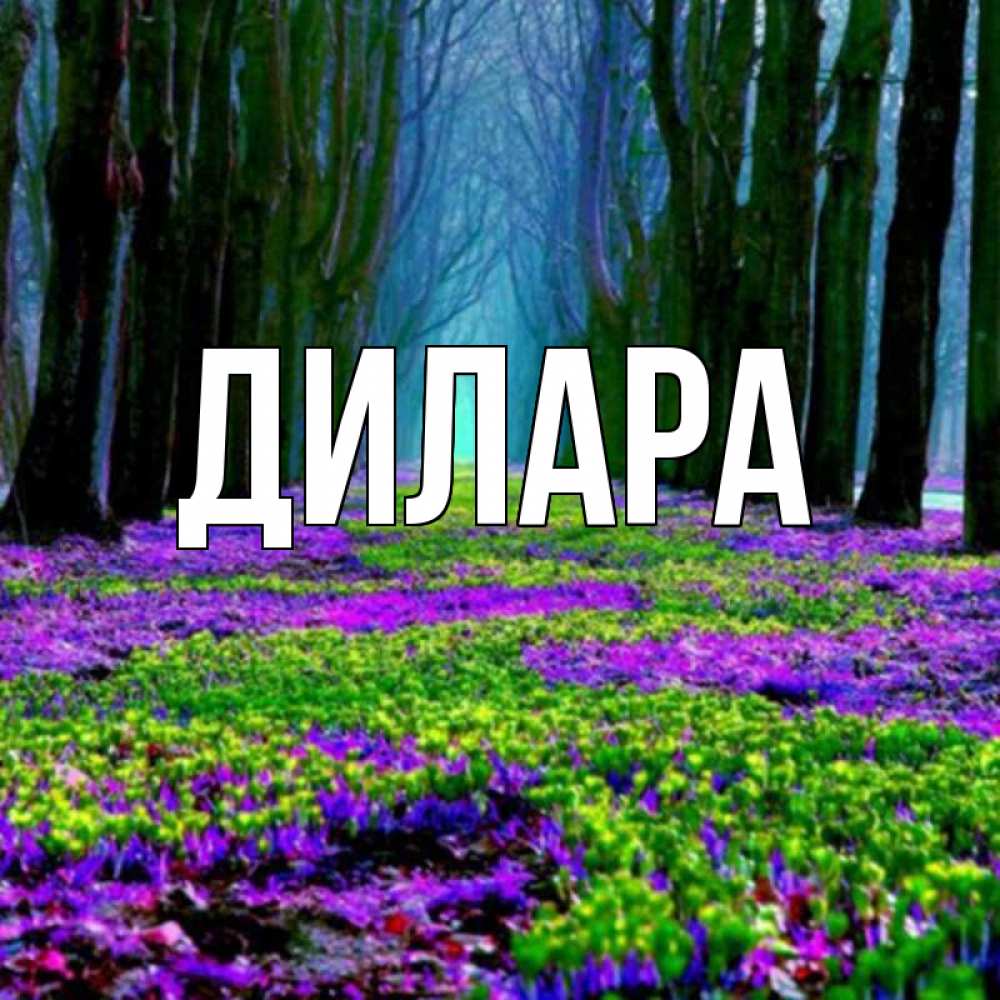 Открытка на каждый день с именем, Дилара Главная фиолетовые цветы в лесу 1 Прикольная открытка с пожеланием онлайн скачать бесплатно 