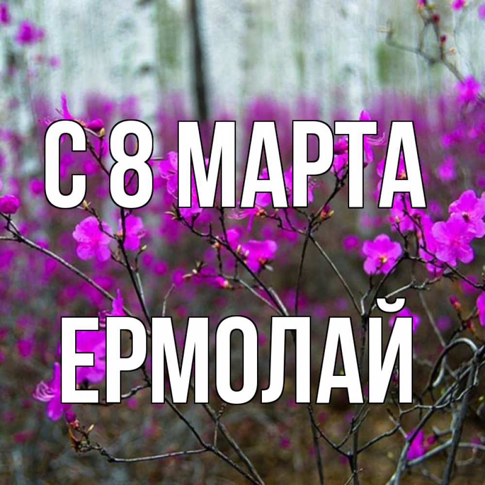 Открытка на каждый день с именем, Ермолай С 8 МАРТА дикие цветы Прикольная открытка с пожеланием онлайн скачать бесплатно 