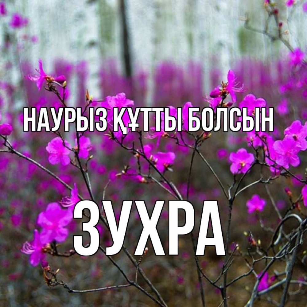 Открытка на каждый день с именем, Зухра Наурыз құтты болсын дикие цветы Прикольная открытка с пожеланием онлайн скачать бесплатно 