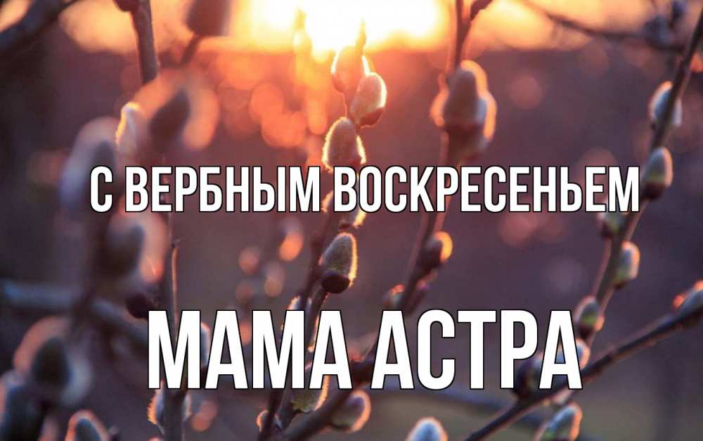 Открытка на каждый день с именем, Мама-Астра С вербным воскресеньем верба Прикольная открытка с пожеланием онлайн скачать бесплатно 