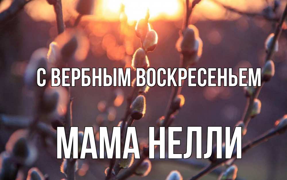 Открытка на каждый день с именем, Мама-Нелли С вербным воскресеньем верба Прикольная открытка с пожеланием онлайн скачать бесплатно 