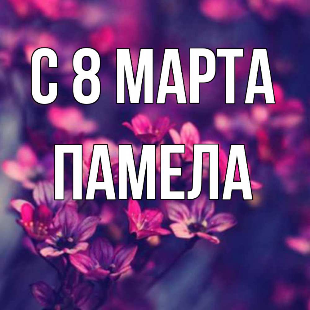 Открытка на каждый день с именем, Памела С 8 МАРТА небольшие цветы 1 Прикольная открытка с пожеланием онлайн скачать бесплатно 