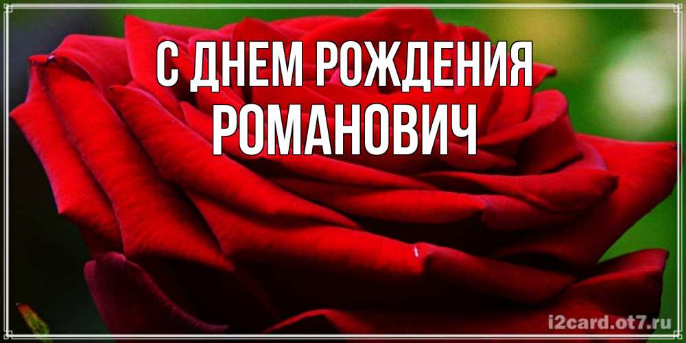 Открытка на каждый день с именем, Романович С днем рождения розочка очень красивая Прикольная открытка с пожеланием онлайн скачать бесплатно 