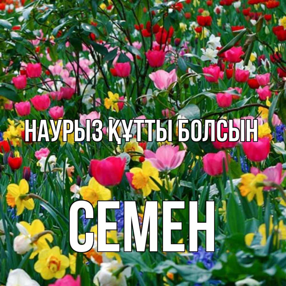 Открытка на каждый день с именем, Семен Наурыз құтты болсын с наурызом поздравления для женщины Прикольная открытка с пожеланием онлайн скачать бесплатно 