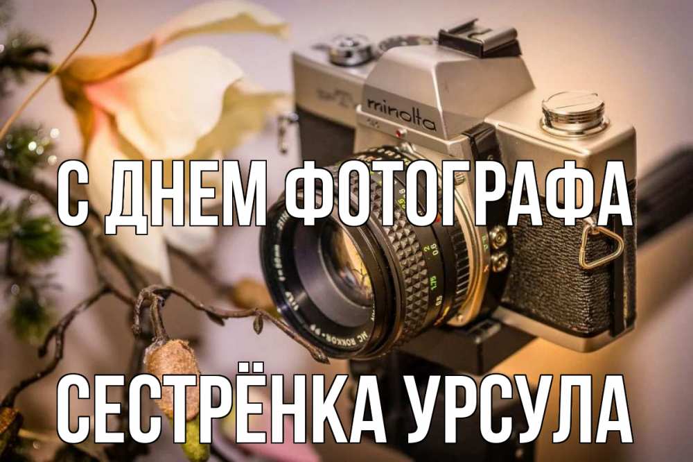 Открытка на каждый день с именем, Сестрёнка-Урсула С днем фотографа с днем фотографа 1 Прикольная открытка с пожеланием онлайн скачать бесплатно 