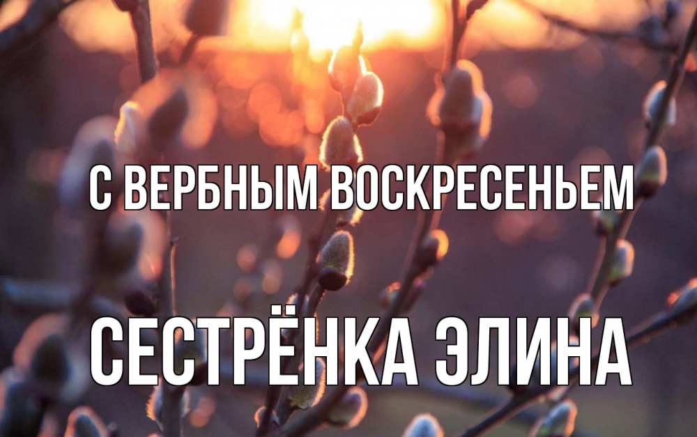 Открытка на каждый день с именем, Сестрёнка-Элина С вербным воскресеньем верба Прикольная открытка с пожеланием онлайн скачать бесплатно 