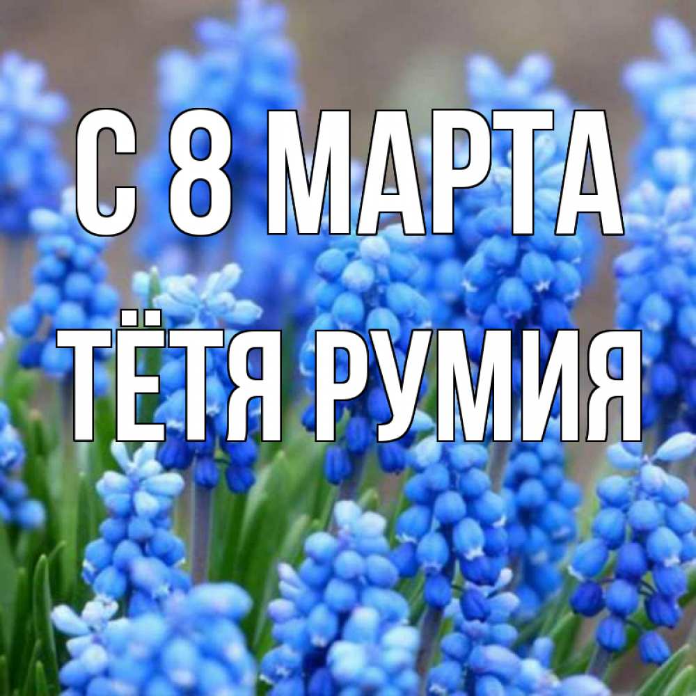 Открытка на каждый день с именем, Тётя-Румия С 8 МАРТА Поздравительная открытка для женщин с цветами на праздничную дату Прикольная открытка с пожеланием онлайн скачать бесплатно 