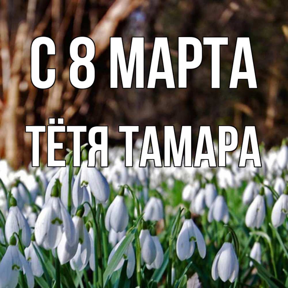 Открытка на каждый день с именем, Тётя-Тамара С 8 марта с подснежниками 1 Прикольная открытка с пожеланием онлайн скачать бесплатно 
