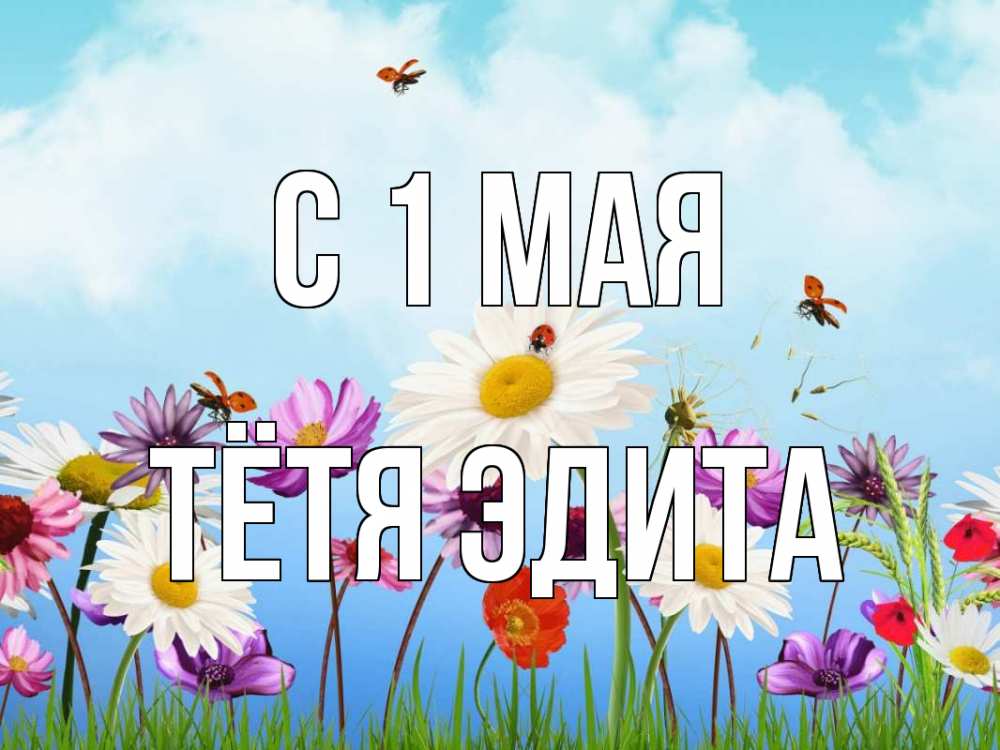 Открытка на каждый день с именем, Тётя-Эдита С 1 мая С 1 мая Прикольная открытка с пожеланием онлайн скачать бесплатно 
