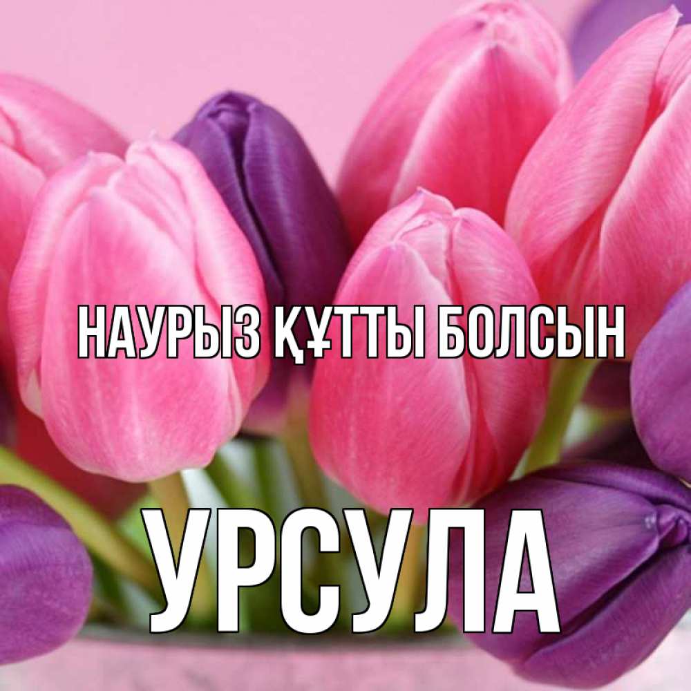 Открытка на каждый день с именем, Урсула Наурыз құтты болсын маме 1 Прикольная открытка с пожеланием онлайн скачать бесплатно 