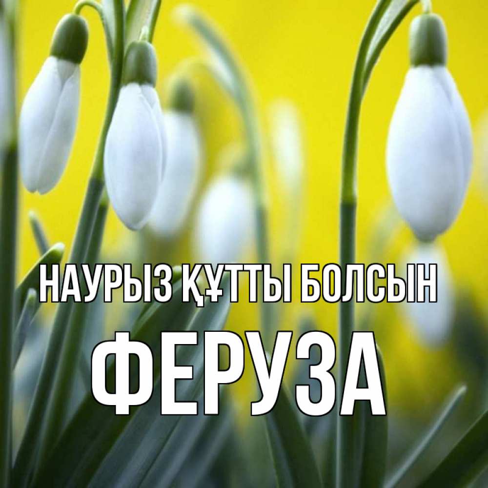 Открытка на каждый день с именем, Феруза Наурыз құтты болсын весенние цветы Прикольная открытка с пожеланием онлайн скачать бесплатно 