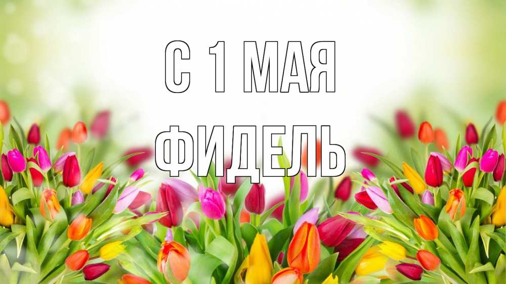 Открытка на каждый день с именем, Фидель С 1 мая С 1 мая Прикольная открытка с пожеланием онлайн скачать бесплатно 