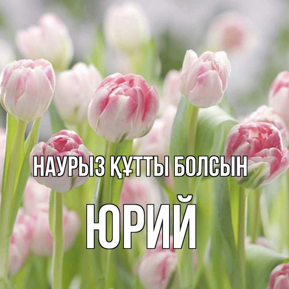 Открытка на каждый день с именем, Юрий Наурыз құтты болсын цветы Прикольная открытка с пожеланием онлайн скачать бесплатно 