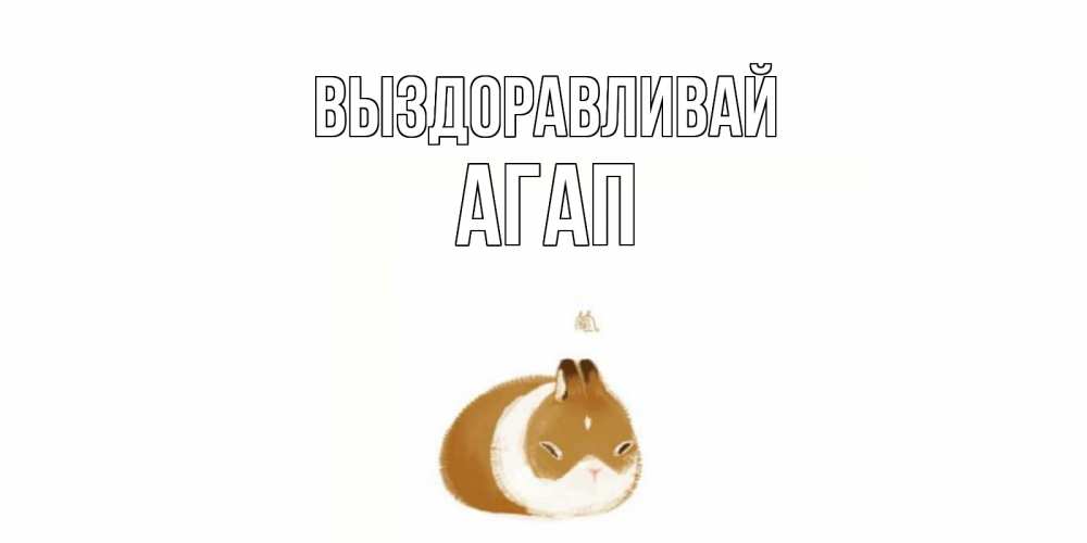 Открытка на каждый день с именем, Агап Выздоравливай морская свинка на открытке с пожеланиями не болеть Прикольная открытка с пожеланием онлайн скачать бесплатно 