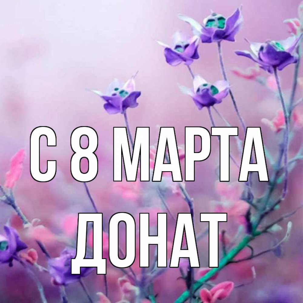 Открытка на каждый день с именем, Донат С 8 МАРТА международный женский день 2 Прикольная открытка с пожеланием онлайн скачать бесплатно 