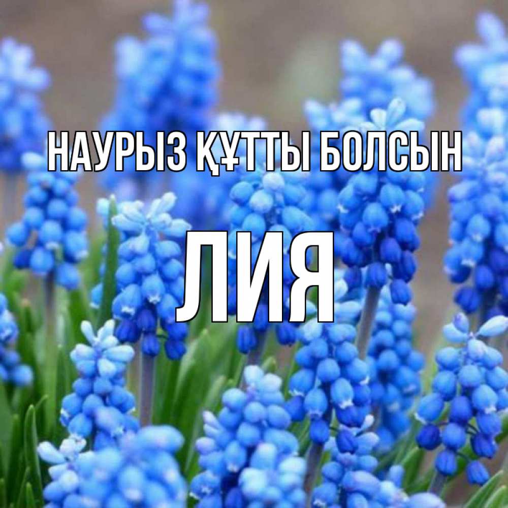 Открытка на каждый день с именем, Лия Наурыз құтты болсын Поздравительная открытка для женщин с цветами на праздничную дату Прикольная открытка с пожеланием онлайн скачать бесплатно 
