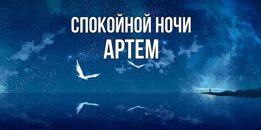 Открытка на каждый день с именем, Артем Спокойной ночи птицы летят на фоне ночного неба Прикольная открытка с пожеланием онлайн скачать бесплатно 