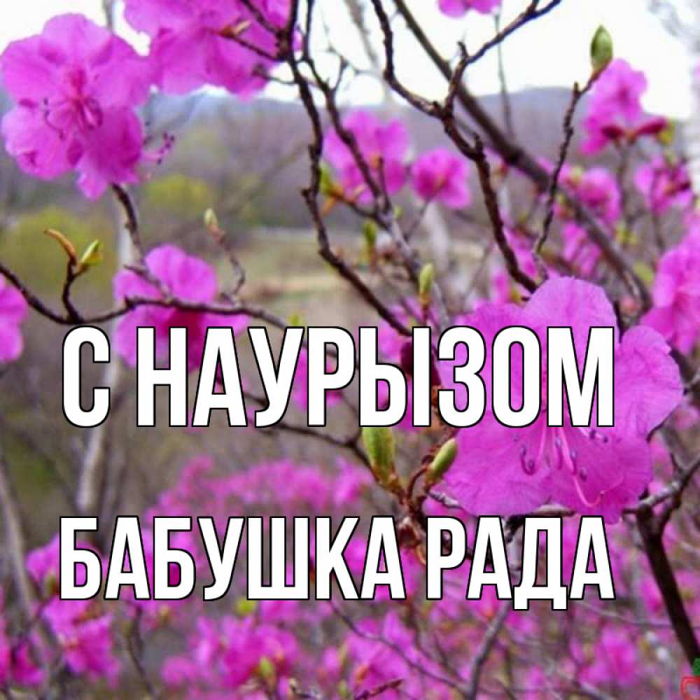 Открытка на каждый день с именем, Бабушка-Рада С наурызом праздник весны наурыз Прикольная открытка с пожеланием онлайн скачать бесплатно 