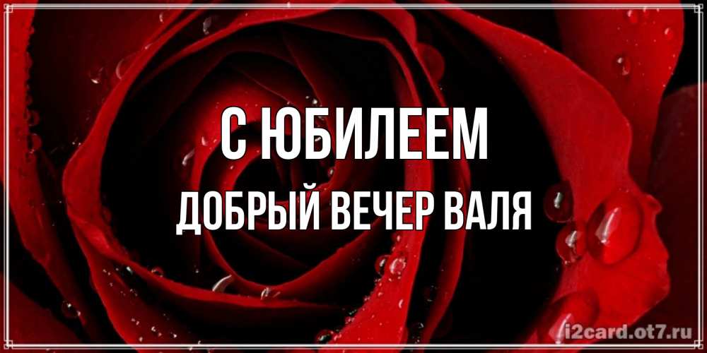 Открытка на каждый день с именем, ДОБРЫЙ-ВЕЧЕР-ВАЛЯ С юбилеем крупная бордовая роза Прикольная открытка с пожеланием онлайн скачать бесплатно 