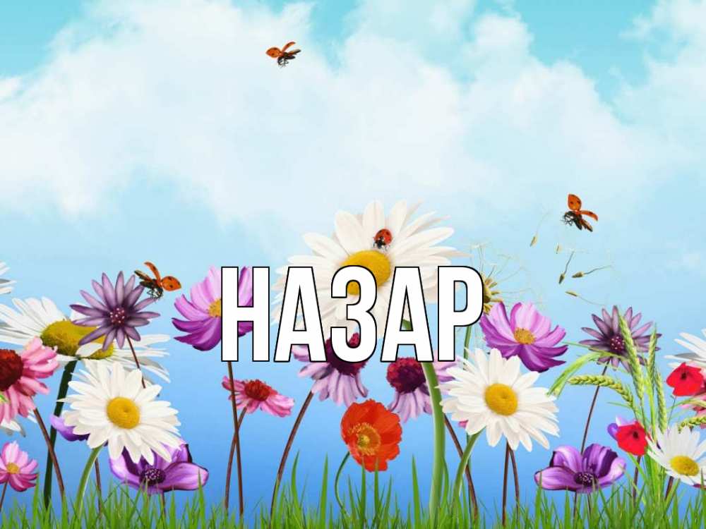 Картинка  с именем , Назар