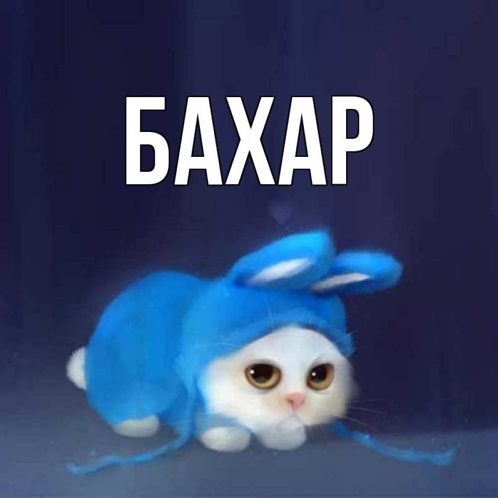 Картинка  с именем , Бахар