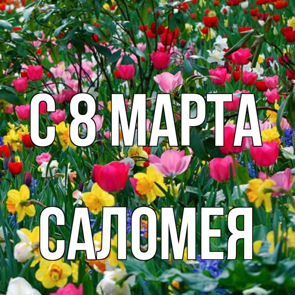 Открытка на каждый день с именем, Саломея С 8 марта с международным женским днем поздравления для женщины Прикольная открытка с пожеланием онлайн скачать бесплатно 