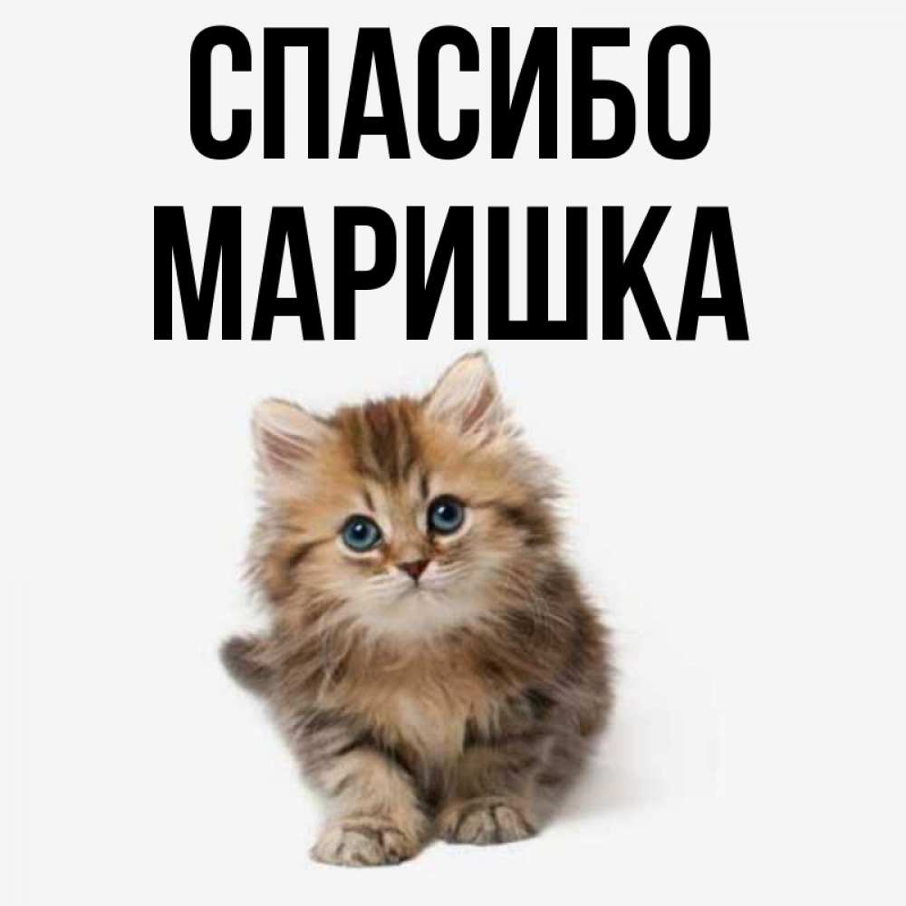 С добрым утром маришка картинки