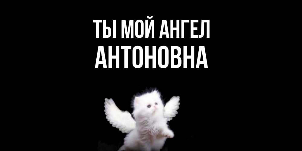 фараон мой ангел убил себя. Pharaoh мой ангел. мой ангел со мной. мой ангел убил себя pharaoh. фараон мой ангел убил.