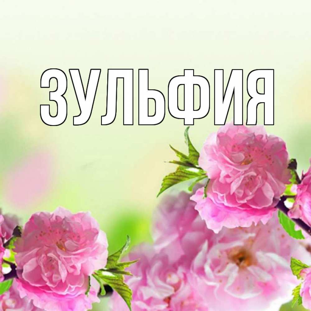Открытка зульфия