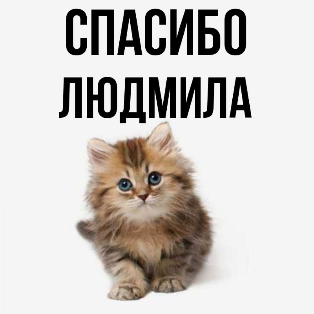 Спасибо люда картинки