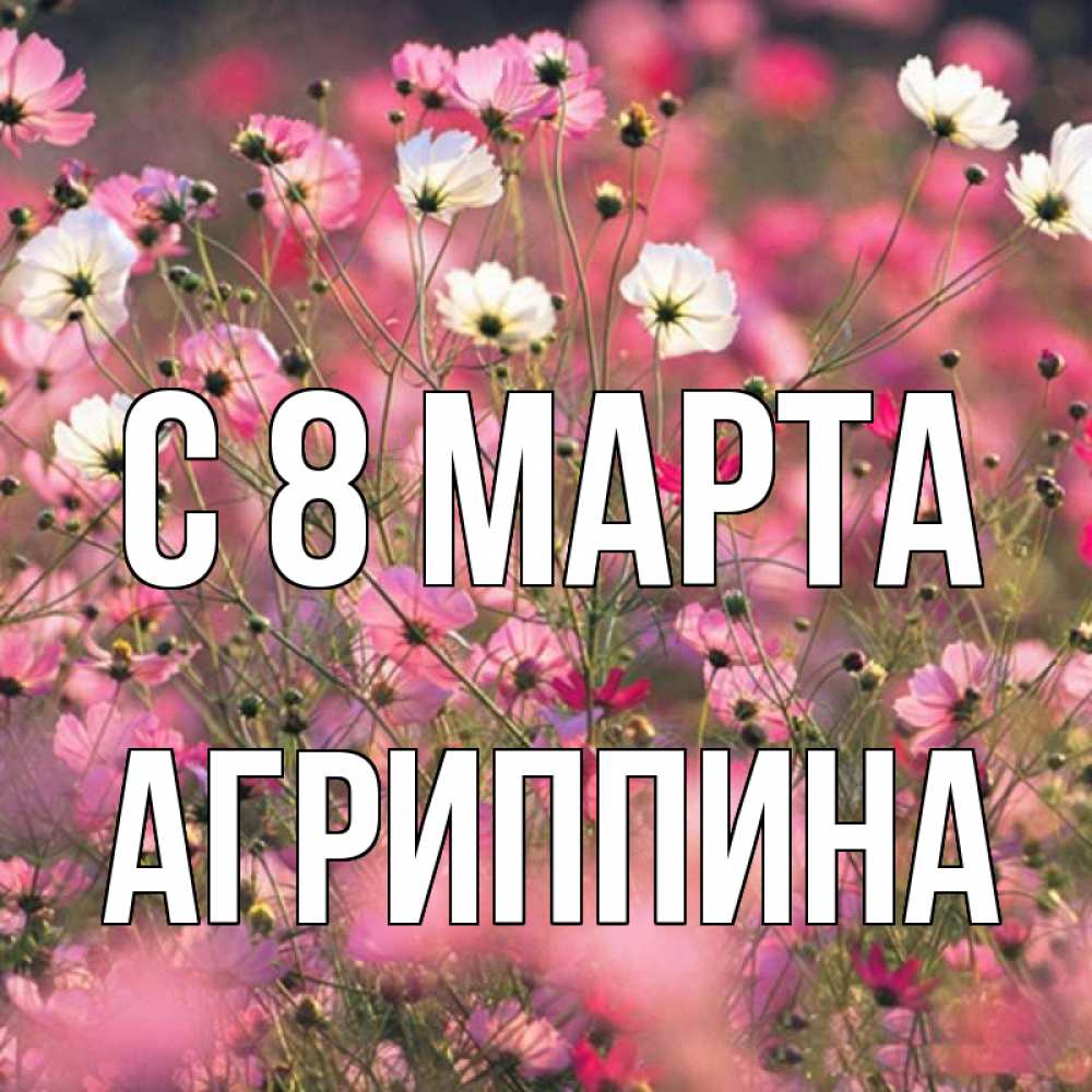 Открытка на каждый день с именем, Агриппина С 8 МАРТА красиво 1 Прикольная открытка с пожеланием онлайн скачать бесплатно 