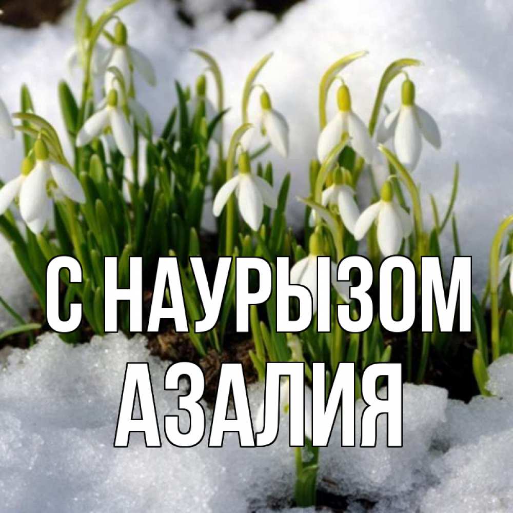 Открытка на каждый день с именем, Азалия С наурызом цветы весенние Прикольная открытка с пожеланием онлайн скачать бесплатно 