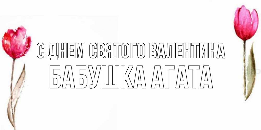 Открытка на каждый день с именем, Бабушка-Агата С днем Святого Валентина Открытки на день всех влюбленных с тюльпанами акварелью Прикольная открытка с пожеланием онлайн скачать бесплатно 